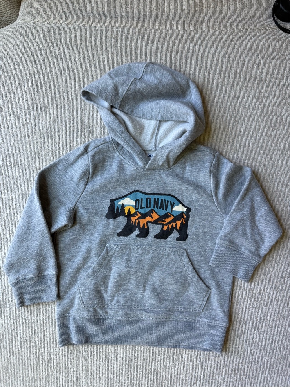 Old Navy Grey Kids Hooded Sweatshirt with Bear Mountain Graphic